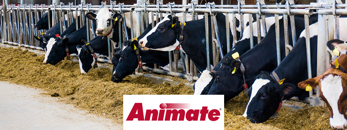 Animate®: Anionic Salts for Prevention of Milk Fevers and Subclinical Hypocalcemia in Post-Calving Cows