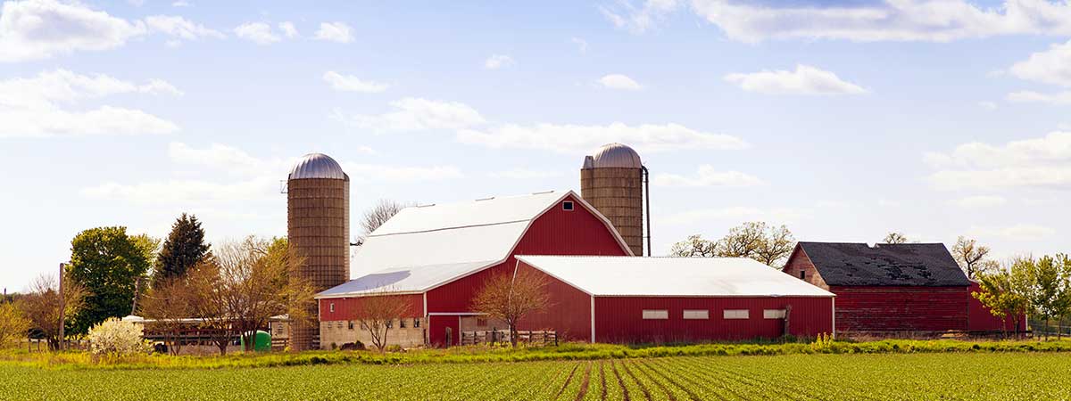 Feed, Nutrition & Mycotoxins